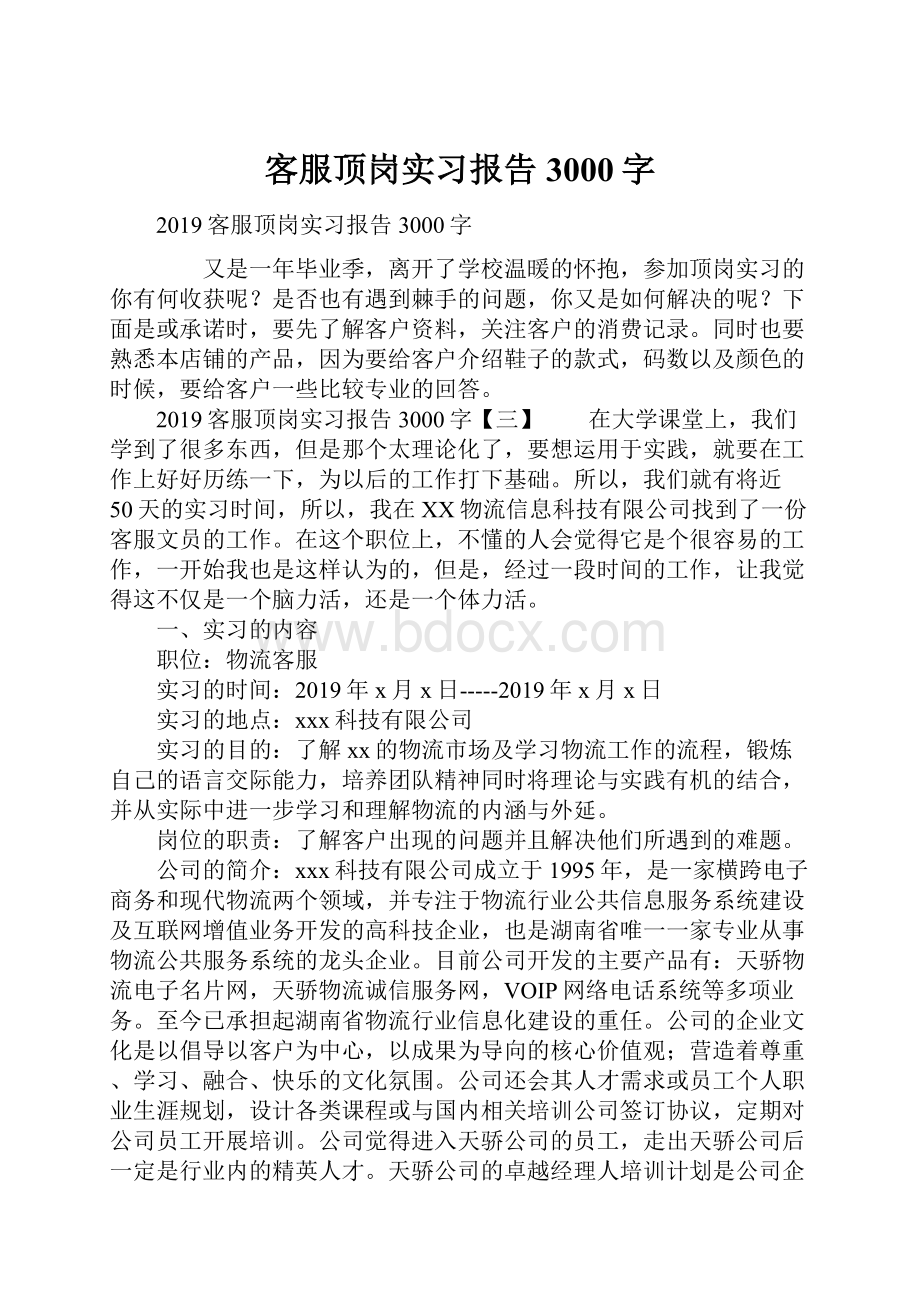 客服顶岗实习报告3000字.docx