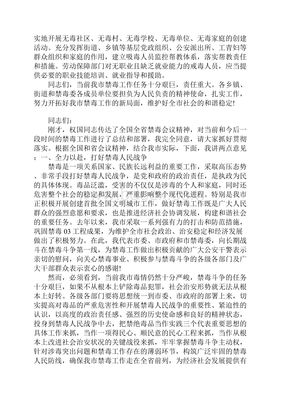 在全市禁毒工作会议上的发言.docx_第3页