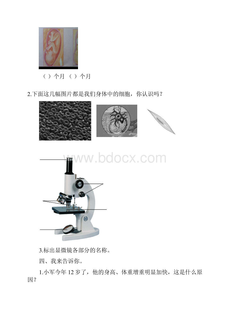 六年级科学自测题.docx_第3页