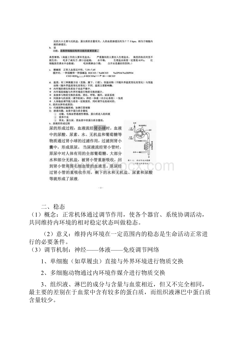 人教版高中生物必修三知识点超全面.docx_第2页