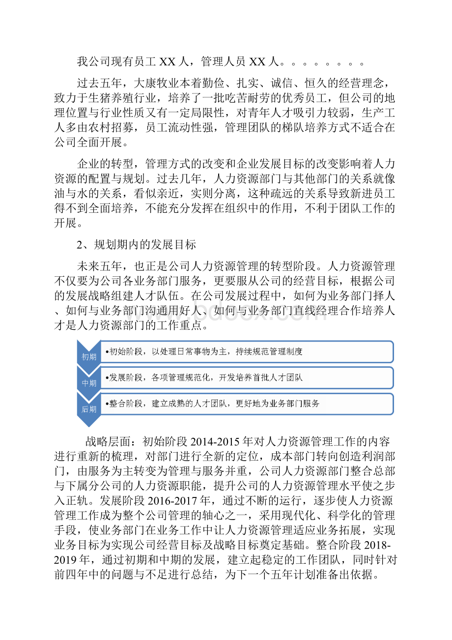 人力资源五年规划.docx_第2页