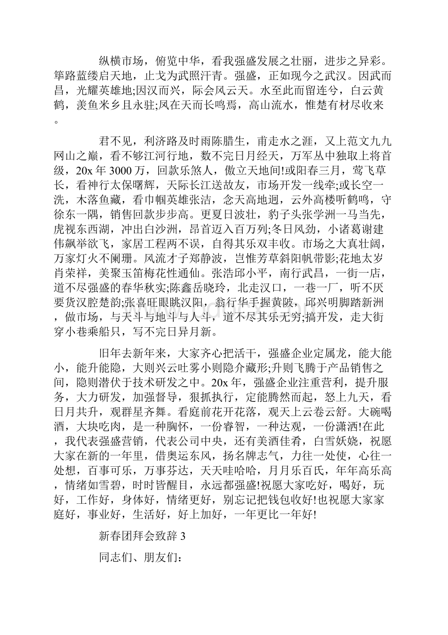 新春团拜会致辞集锦.docx_第3页