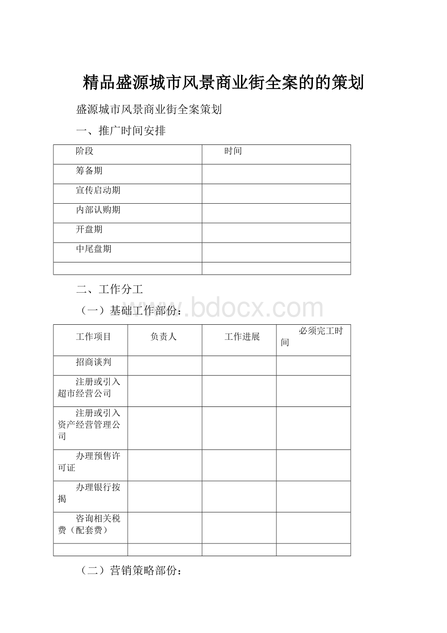 精品盛源城市风景商业街全案的的策划.docx