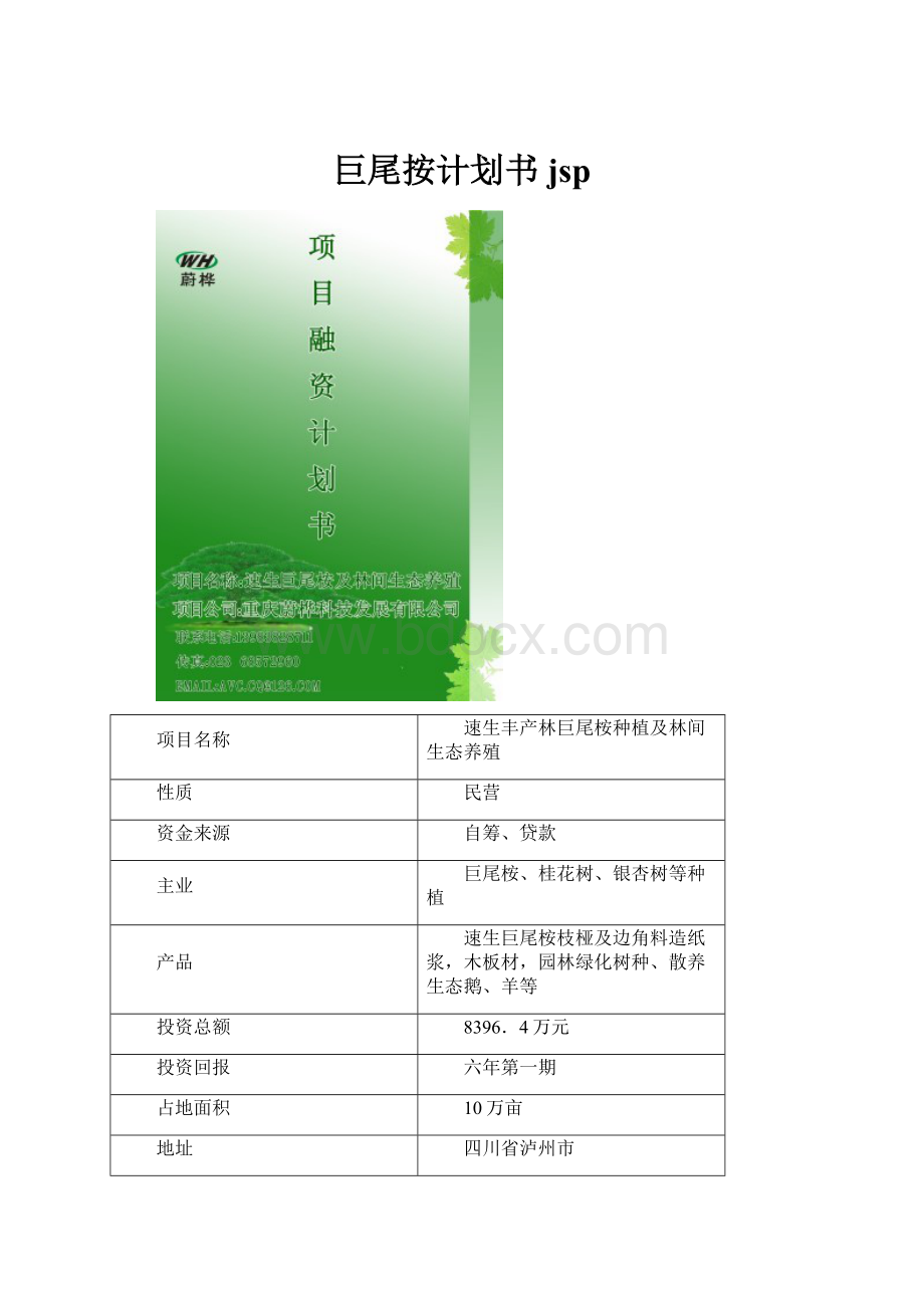 巨尾按计划书jsp.docx_第1页