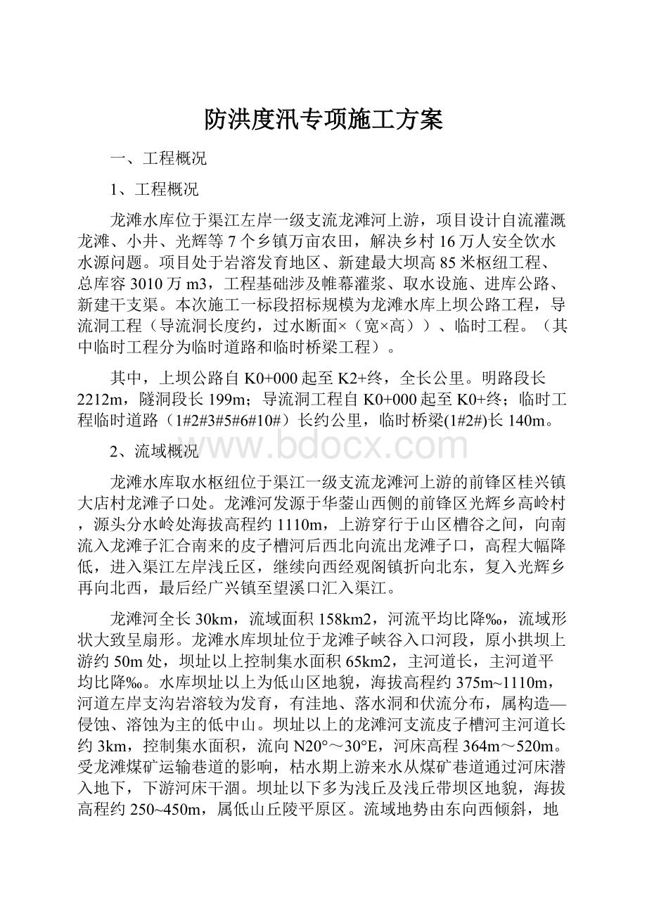 防洪度汛专项施工方案.docx