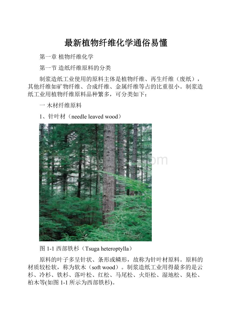 最新植物纤维化学通俗易懂.docx