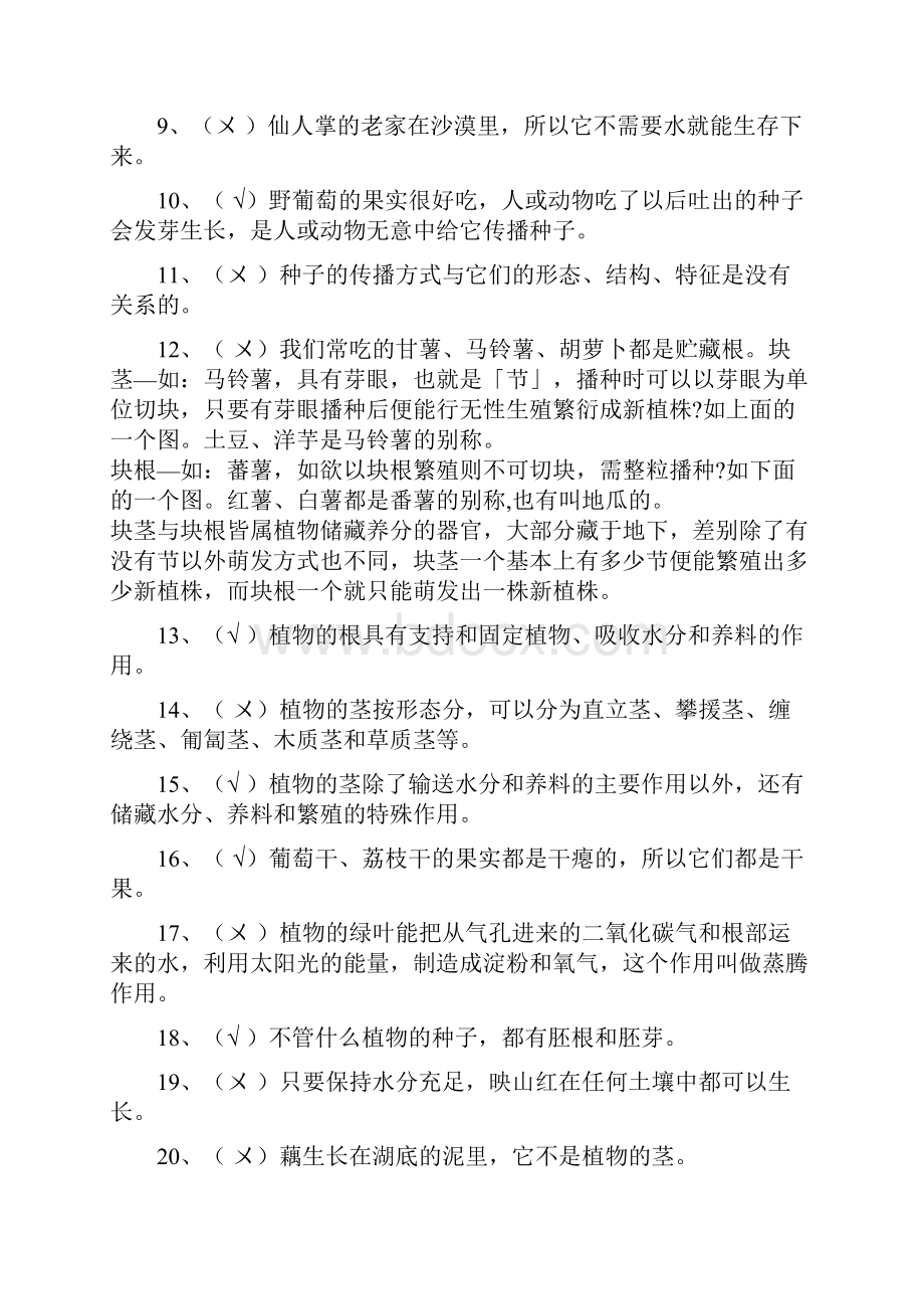 小学科学学科基础知识复习题一.docx_第2页