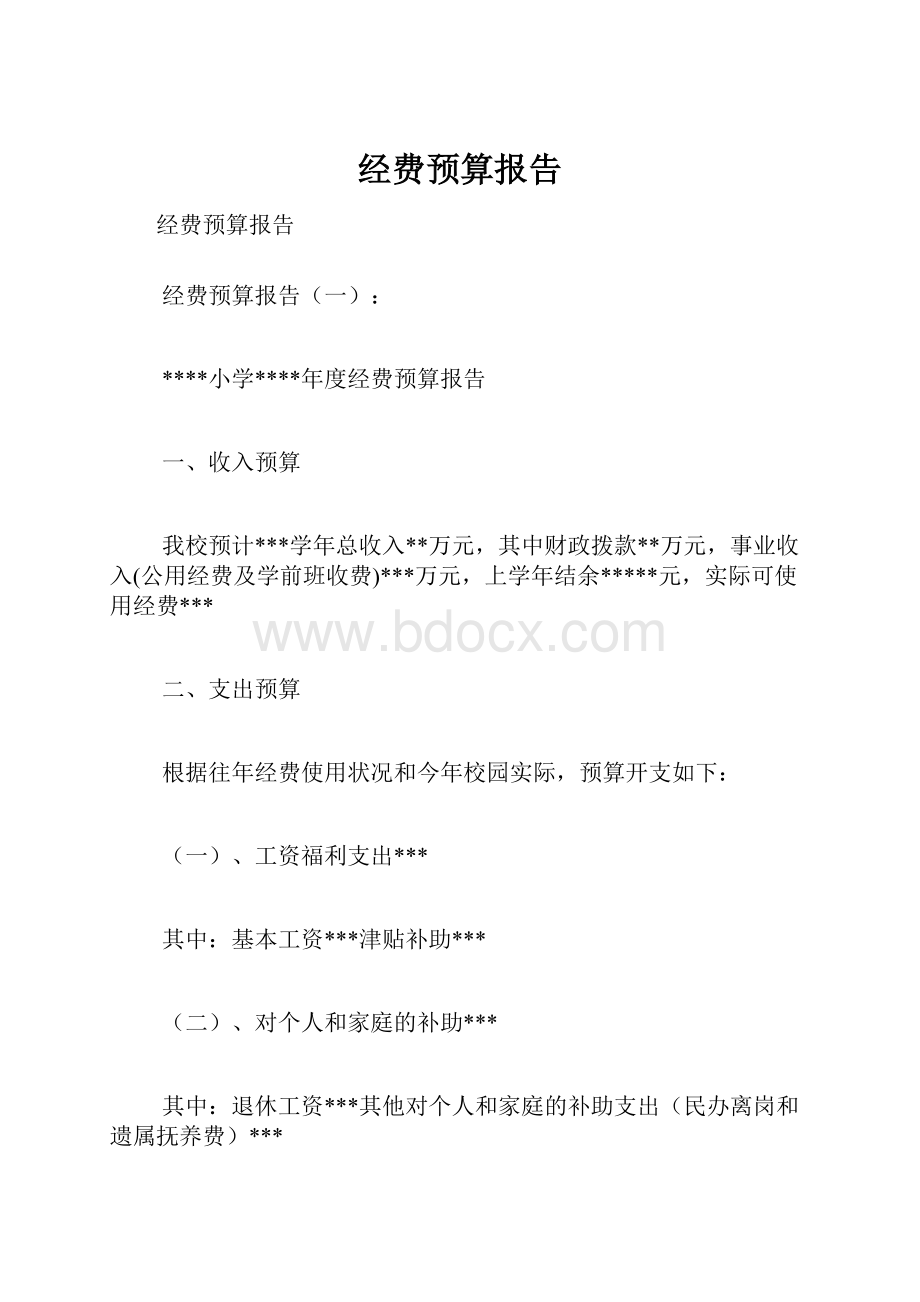 经费预算报告.docx