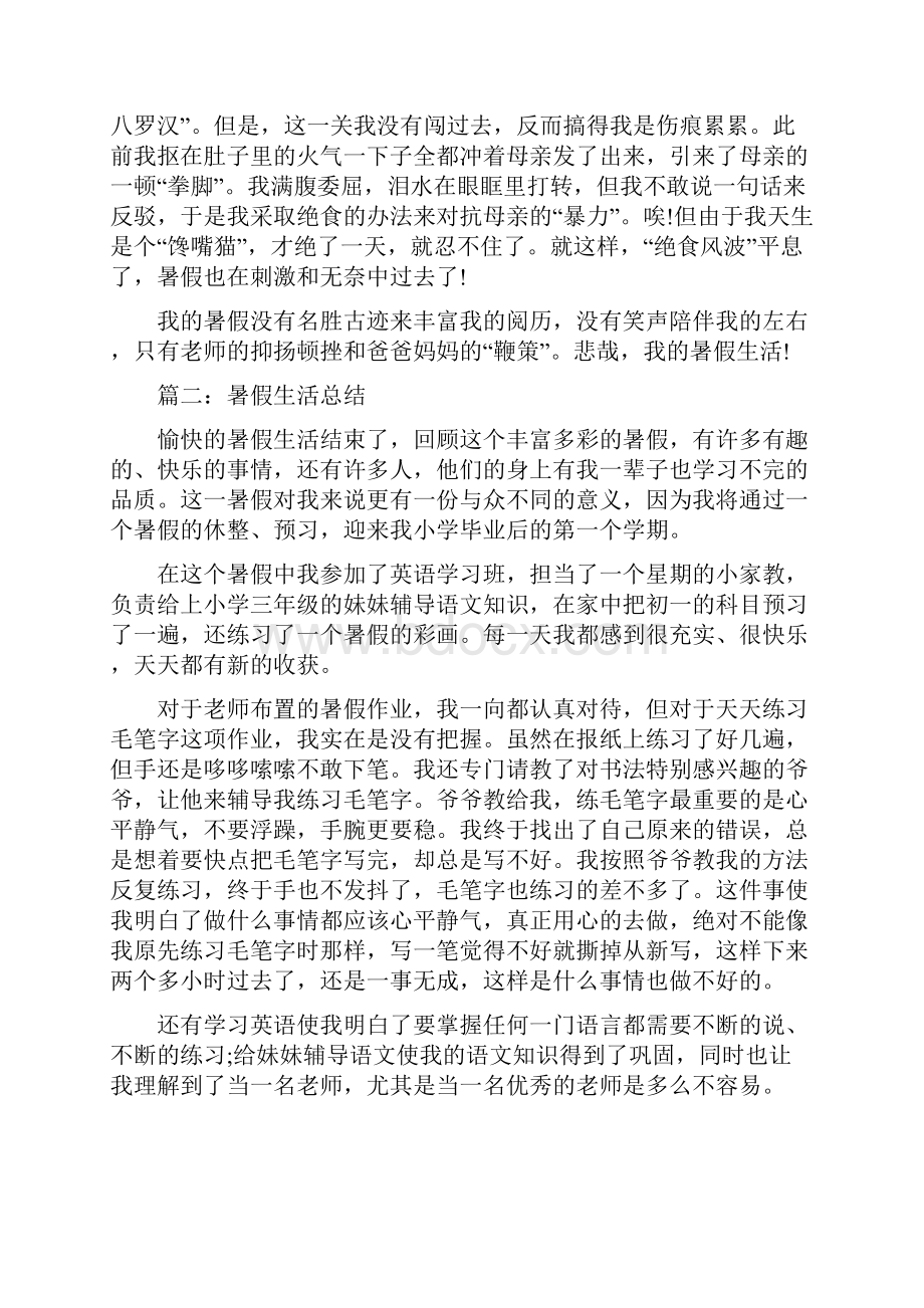 暑假生活总结.docx_第2页