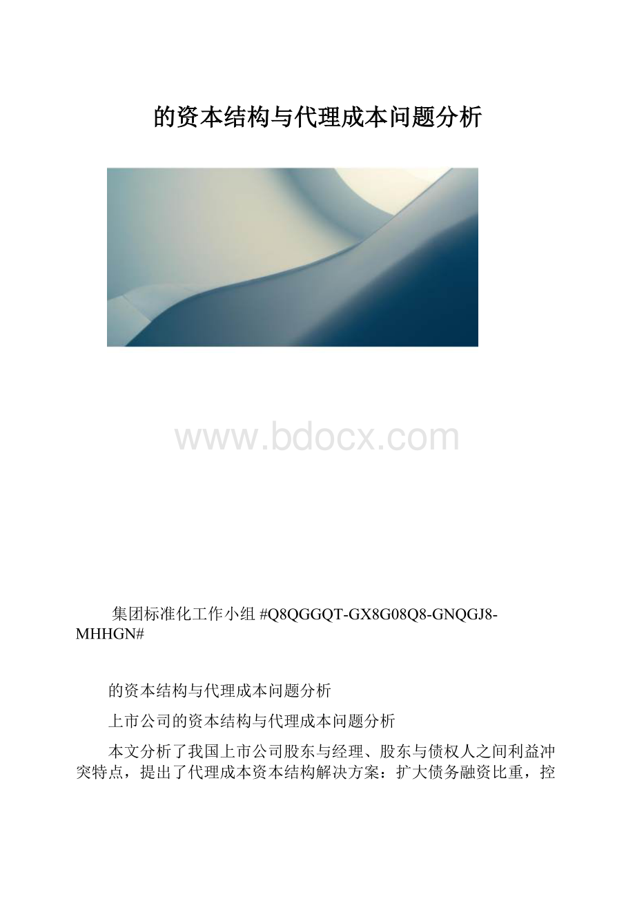 的资本结构与代理成本问题分析.docx_第1页