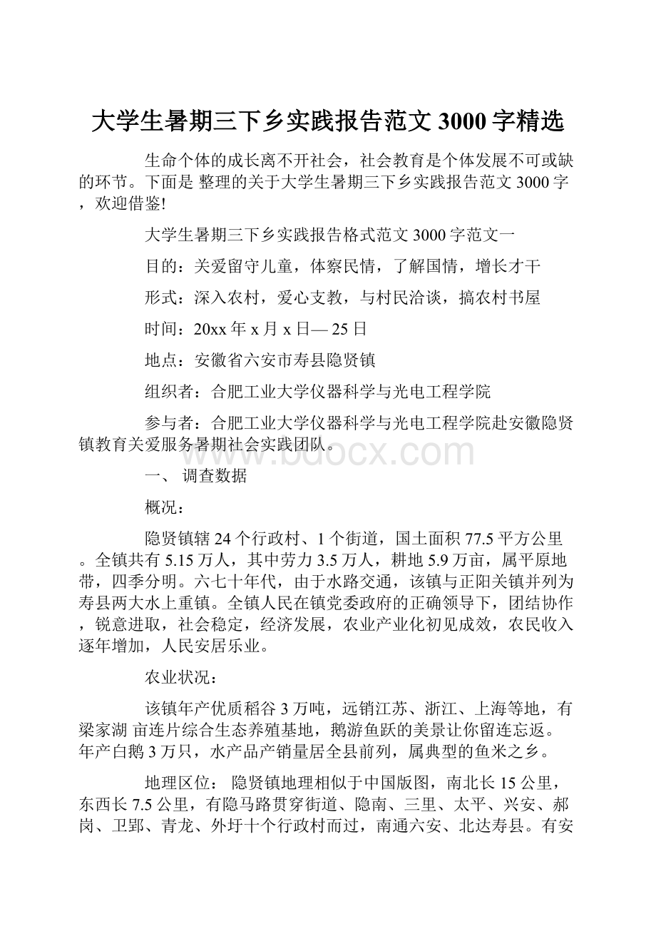 大学生暑期三下乡实践报告范文3000字精选.docx_第1页