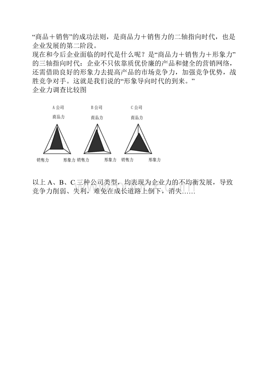 CI策划资料.docx_第2页