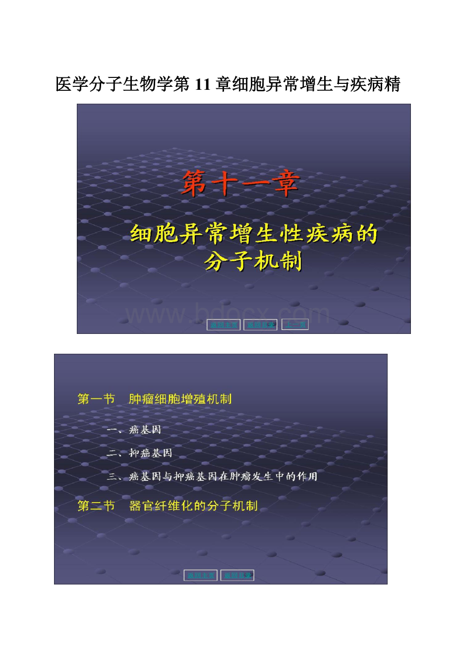 医学分子生物学第11章细胞异常增生与疾病精.docx