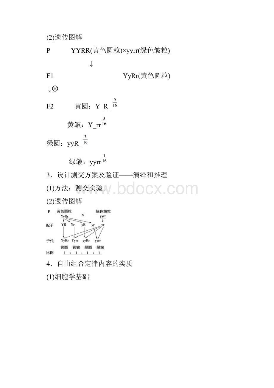 高考生物一轮复习讲义第16讲基因的自由组合定律.docx_第2页