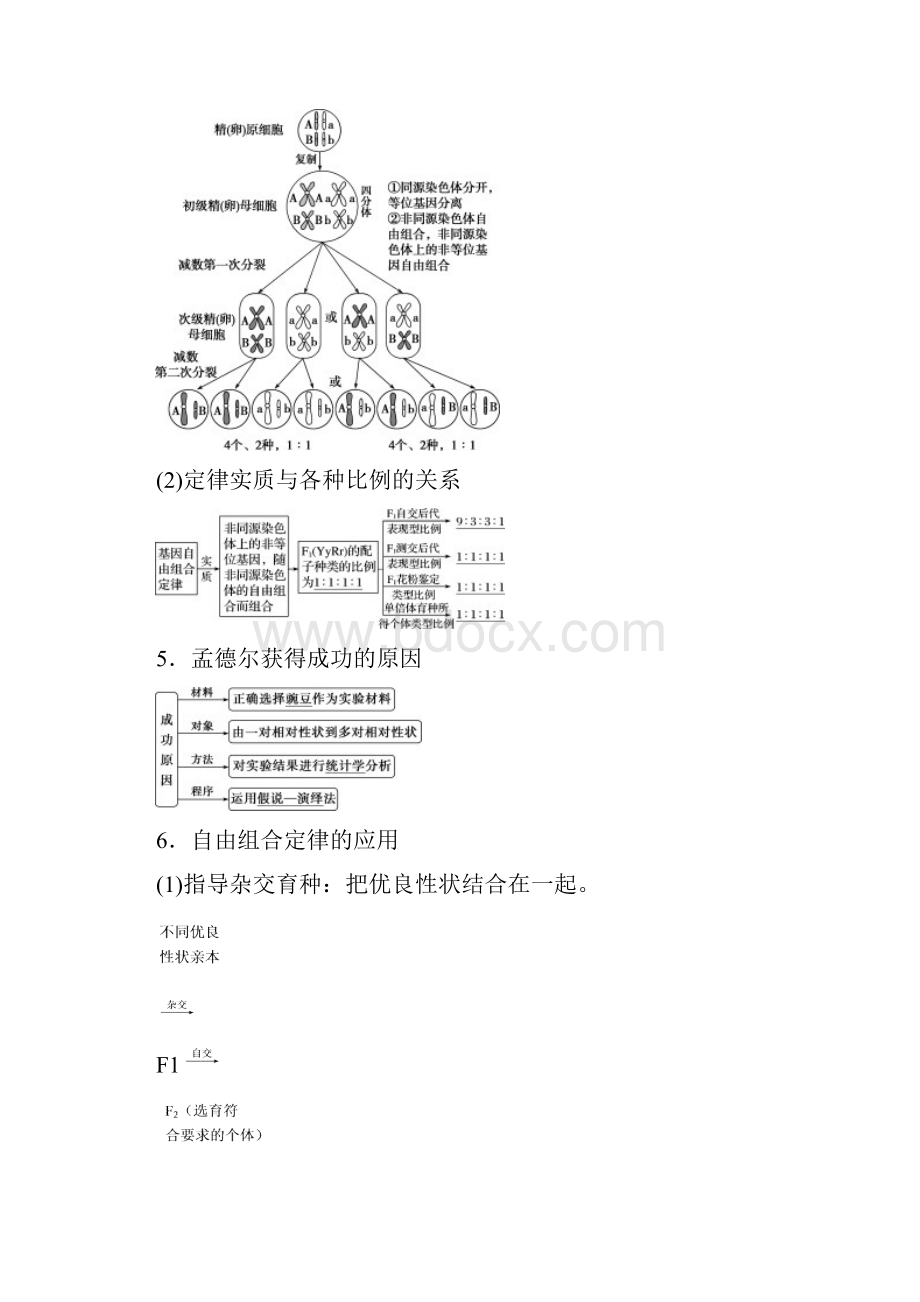 高考生物一轮复习讲义第16讲基因的自由组合定律.docx_第3页