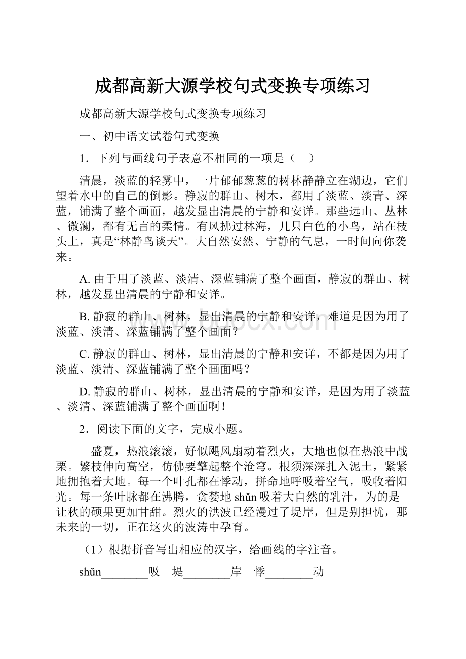 成都高新大源学校句式变换专项练习.docx