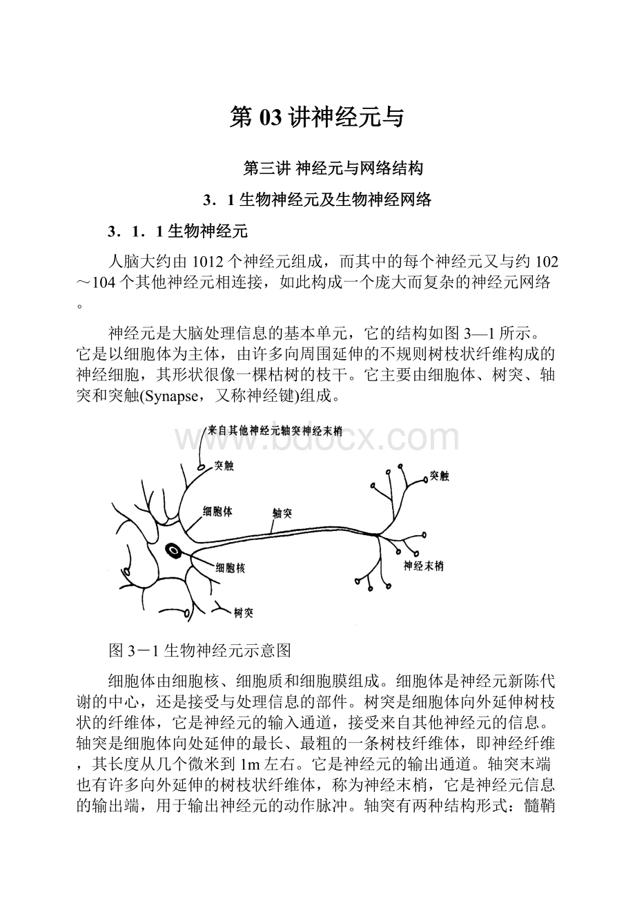 第03讲神经元与.docx_第1页