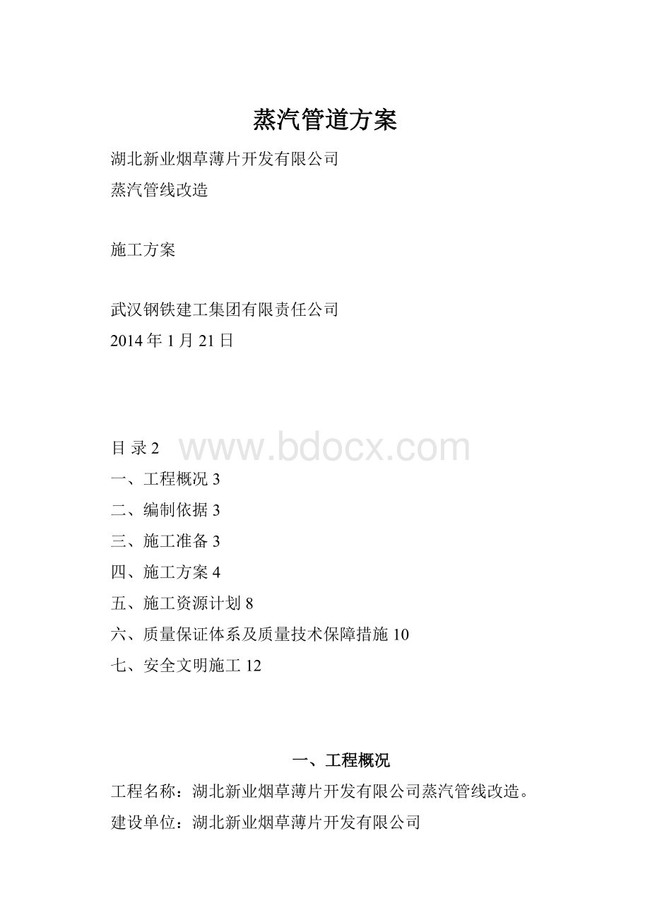 蒸汽管道方案.docx_第1页