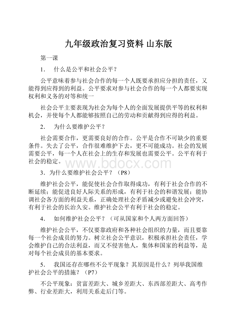 九年级政治复习资料 山东版.docx