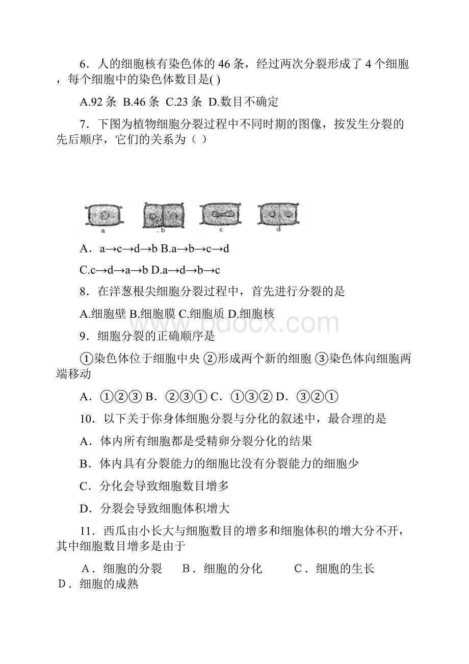 中考生物精品复习专题训练细胞通过分裂产生新细胞含答案.docx_第2页