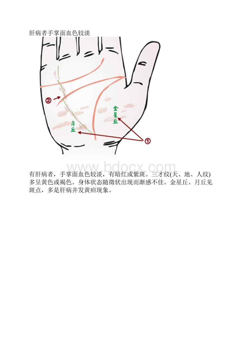 手相看病.docx_第2页