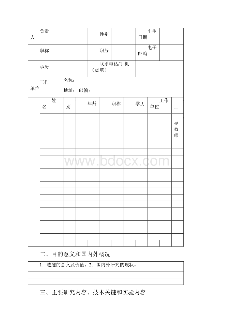 项目申报书模版.docx_第2页