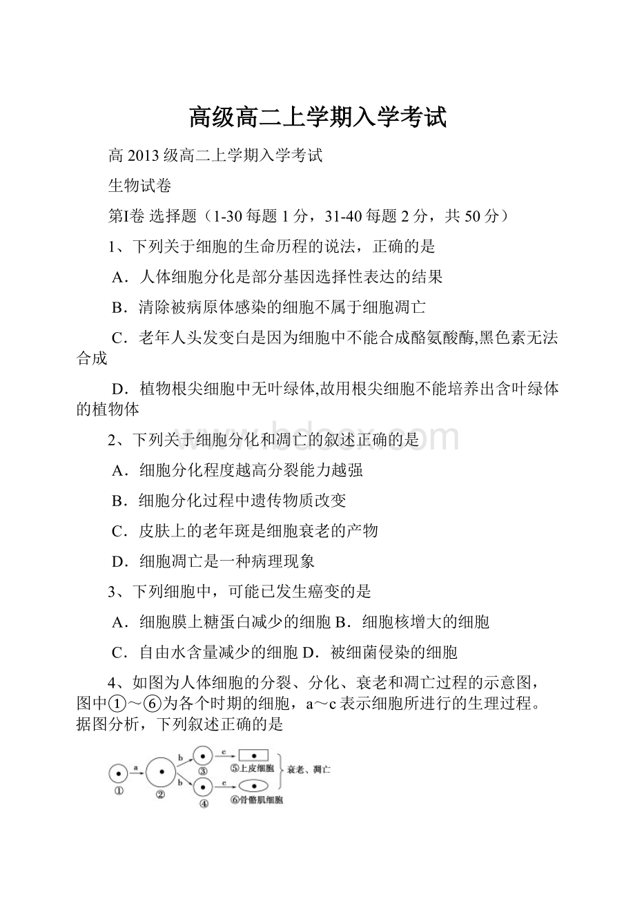 高级高二上学期入学考试.docx_第1页