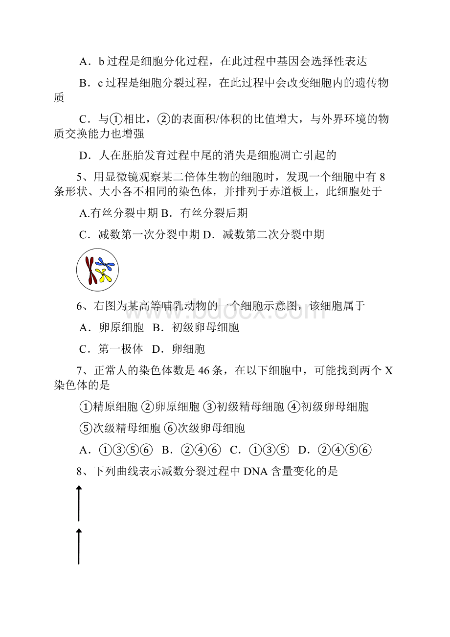 高级高二上学期入学考试.docx_第2页