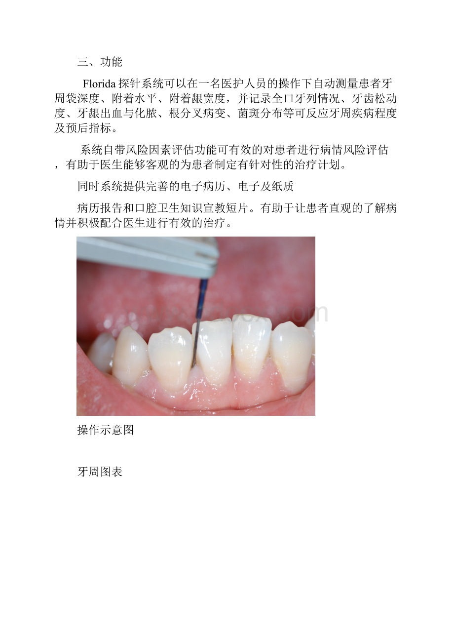 佛罗里达探针修订稿.docx_第3页