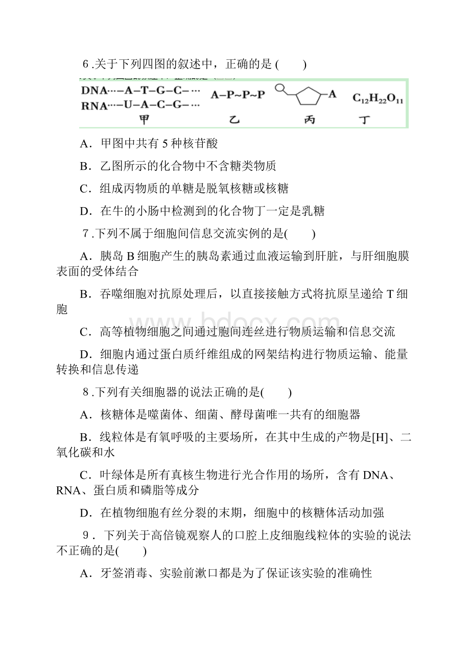 高三第一次大联考生物试题.docx_第3页