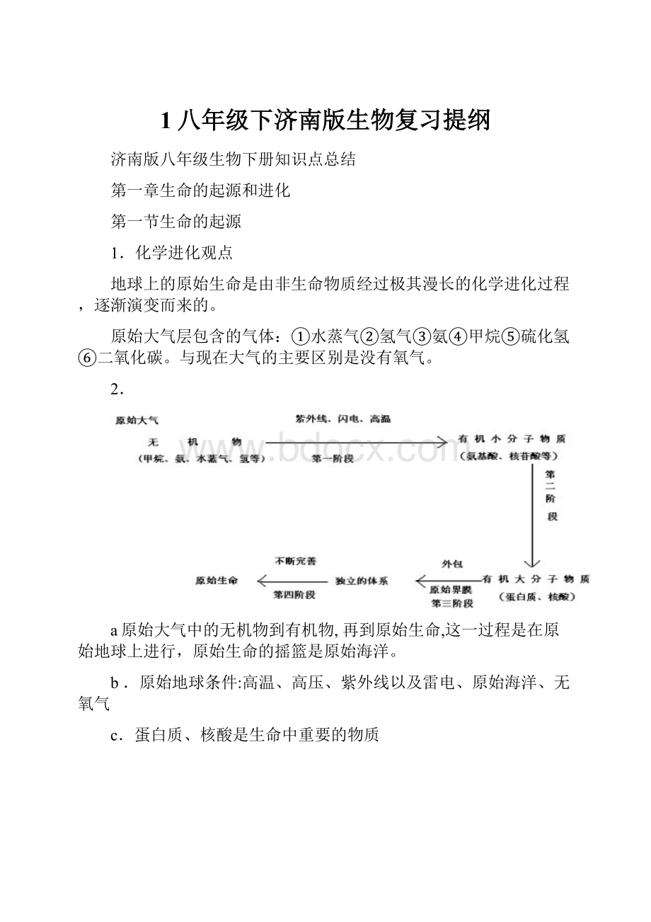 1八年级下济南版生物复习提纲.docx