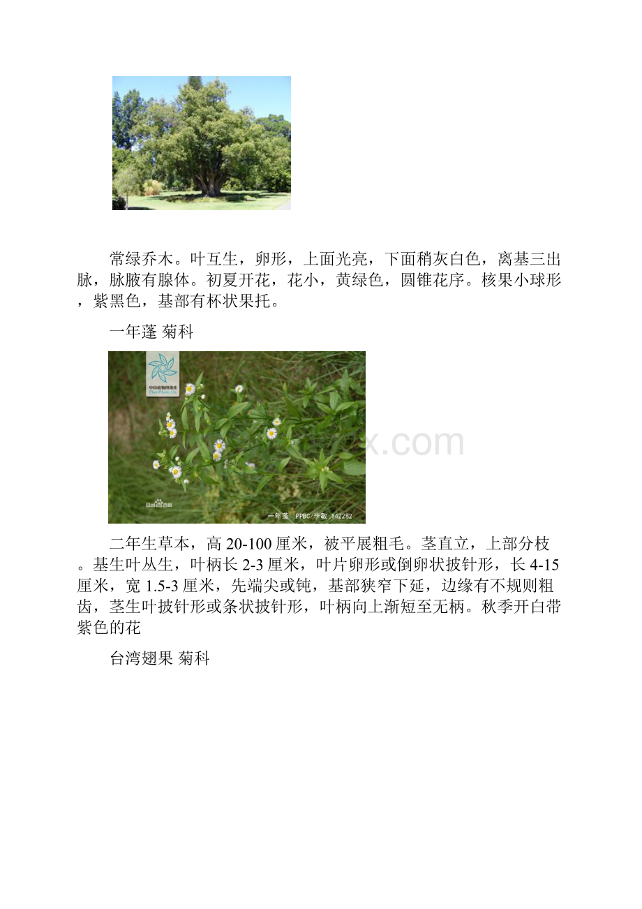 植物学归纳综述.docx_第3页