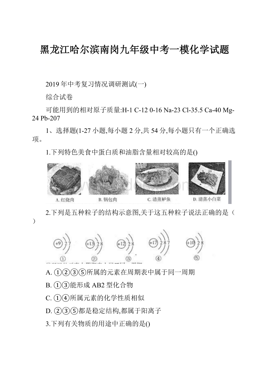 黑龙江哈尔滨南岗九年级中考一模化学试题.docx