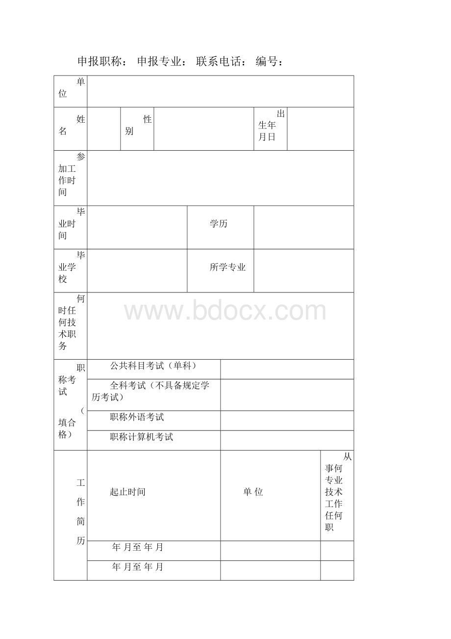 职称评审电子表格初中级1.docx_第3页