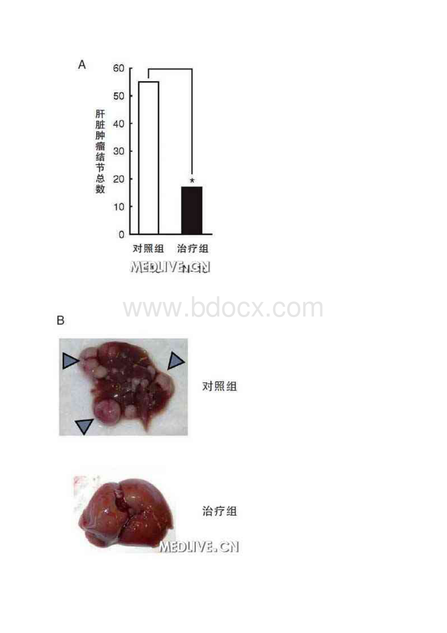 合成致死作用.docx_第3页