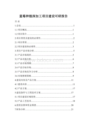 蓝莓种植深加工项目建设可研报告.docx