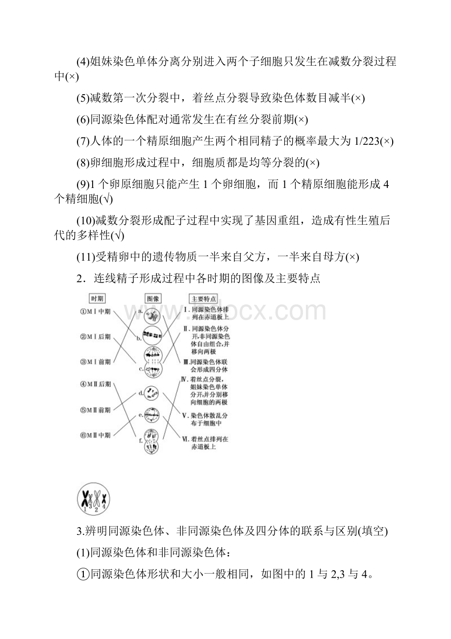 原创高考生物总复习第2讲 减数分裂和受精作用.docx_第2页