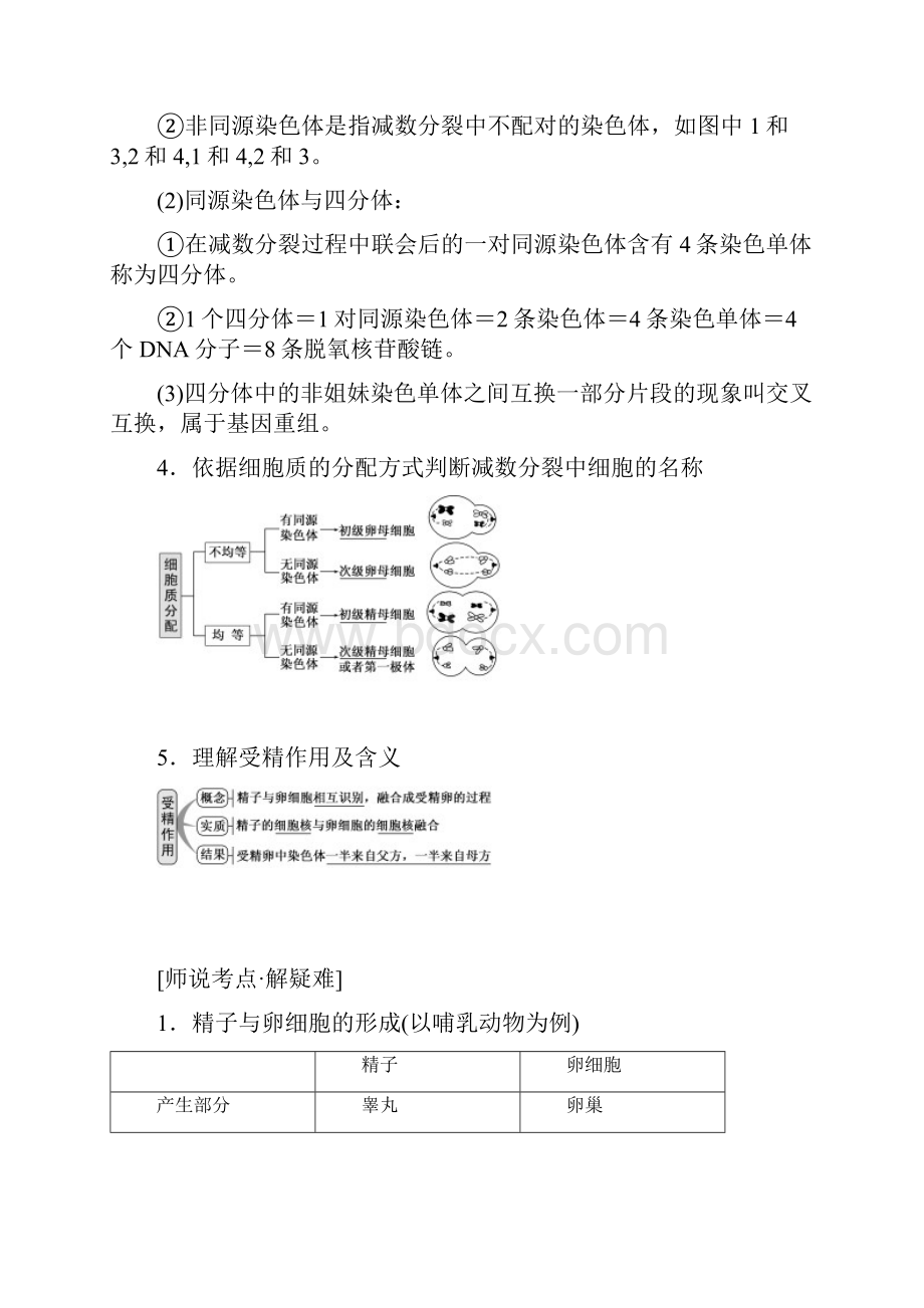 原创高考生物总复习第2讲 减数分裂和受精作用.docx_第3页