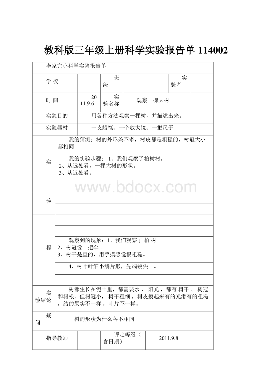 教科版三年级上册科学实验报告单114002.docx