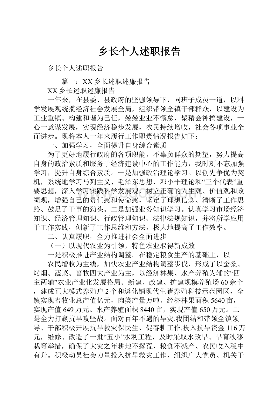 乡长个人述职报告.docx_第1页