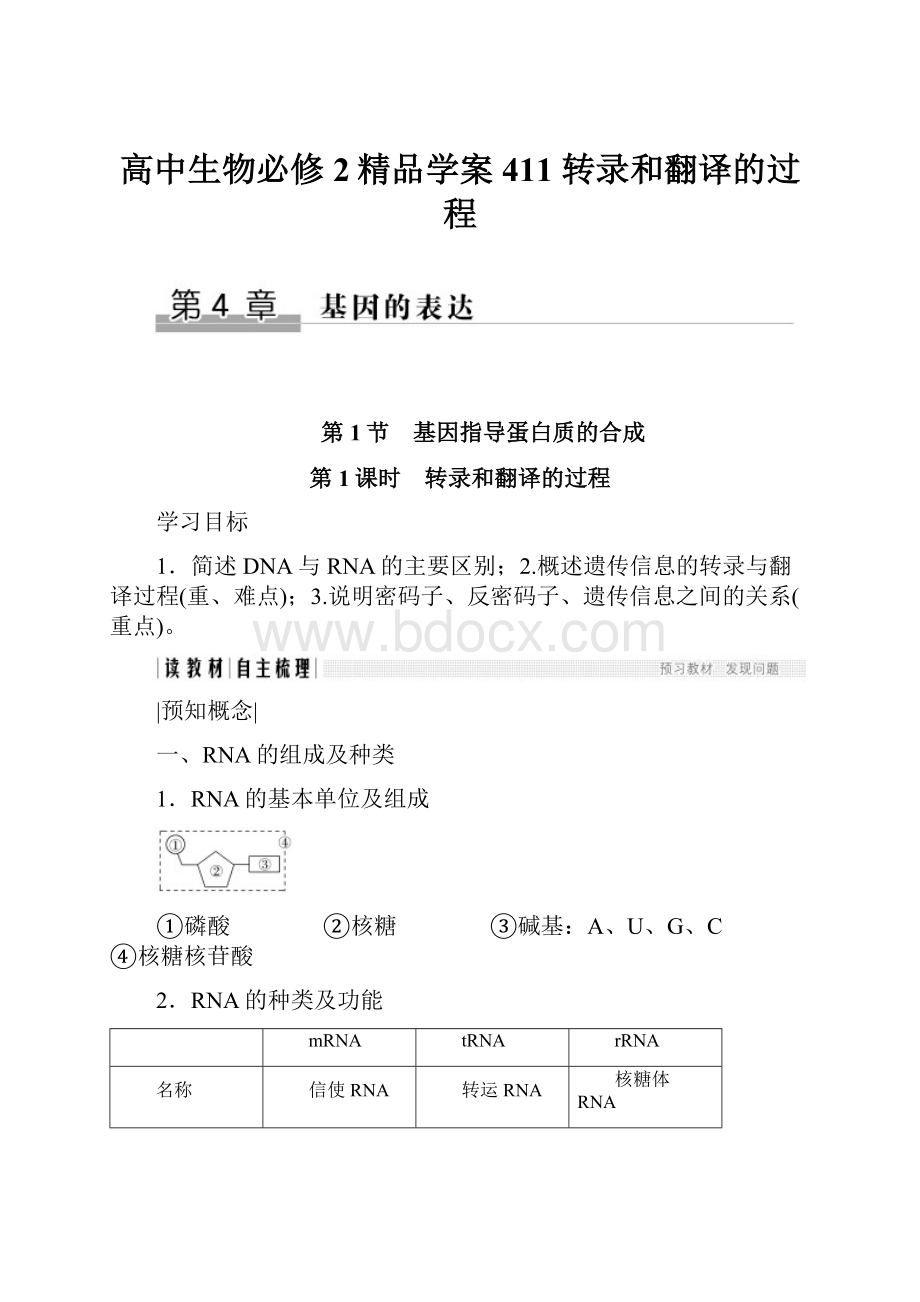 高中生物必修2精品学案411 转录和翻译的过程.docx