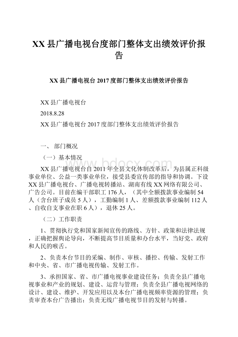 XX县广播电视台度部门整体支出绩效评价报告.docx_第1页