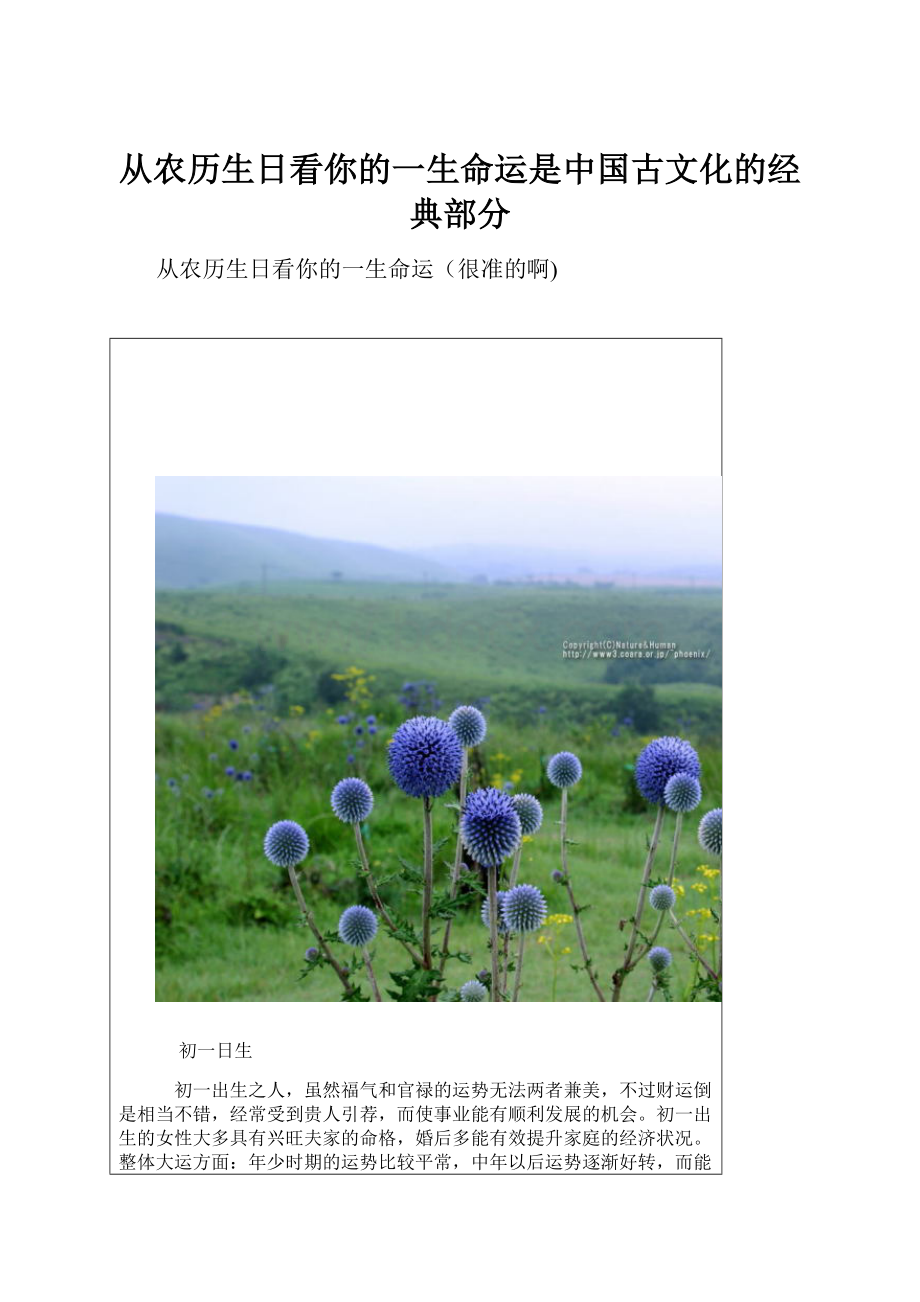 从农历生日看你的一生命运是中国古文化的经典部分.docx
