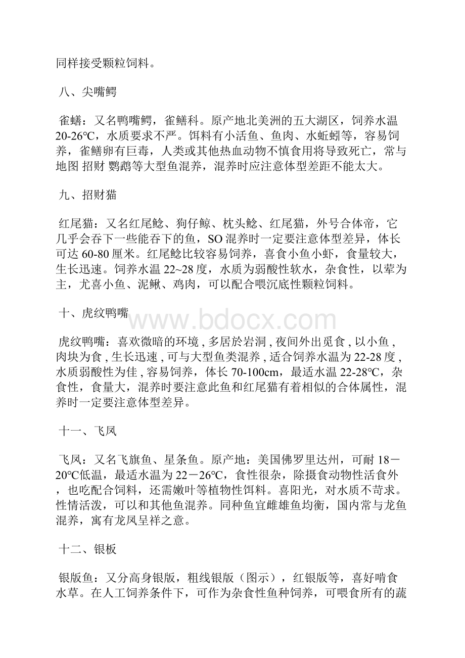 大型热带鱼种类有哪些大型热带鱼品种大全.docx_第3页