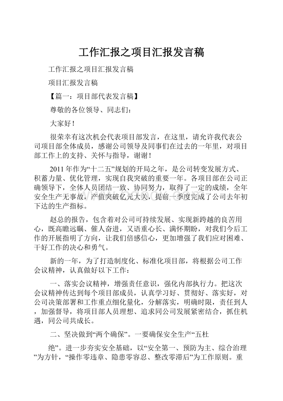 工作汇报之项目汇报发言稿.docx_第1页