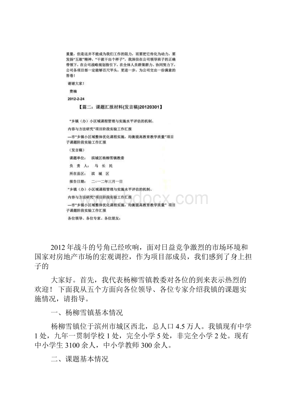 工作汇报之项目汇报发言稿.docx_第3页