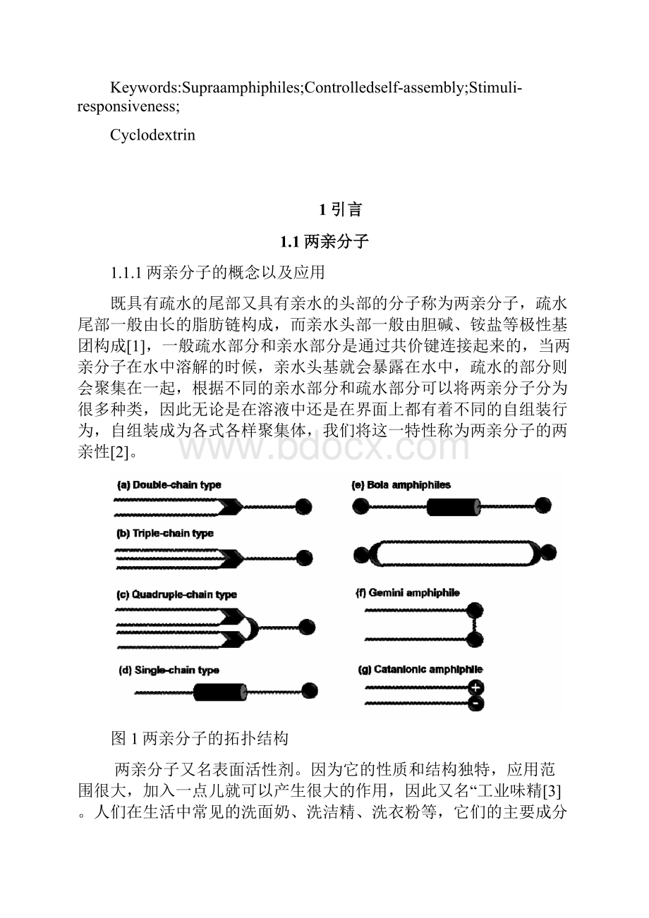 新型超两亲分子自组装体系的设计与表征.docx_第2页