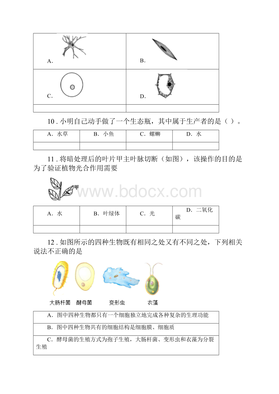 哈尔滨市学年七年级上学期期中生物试题C卷1.docx_第3页