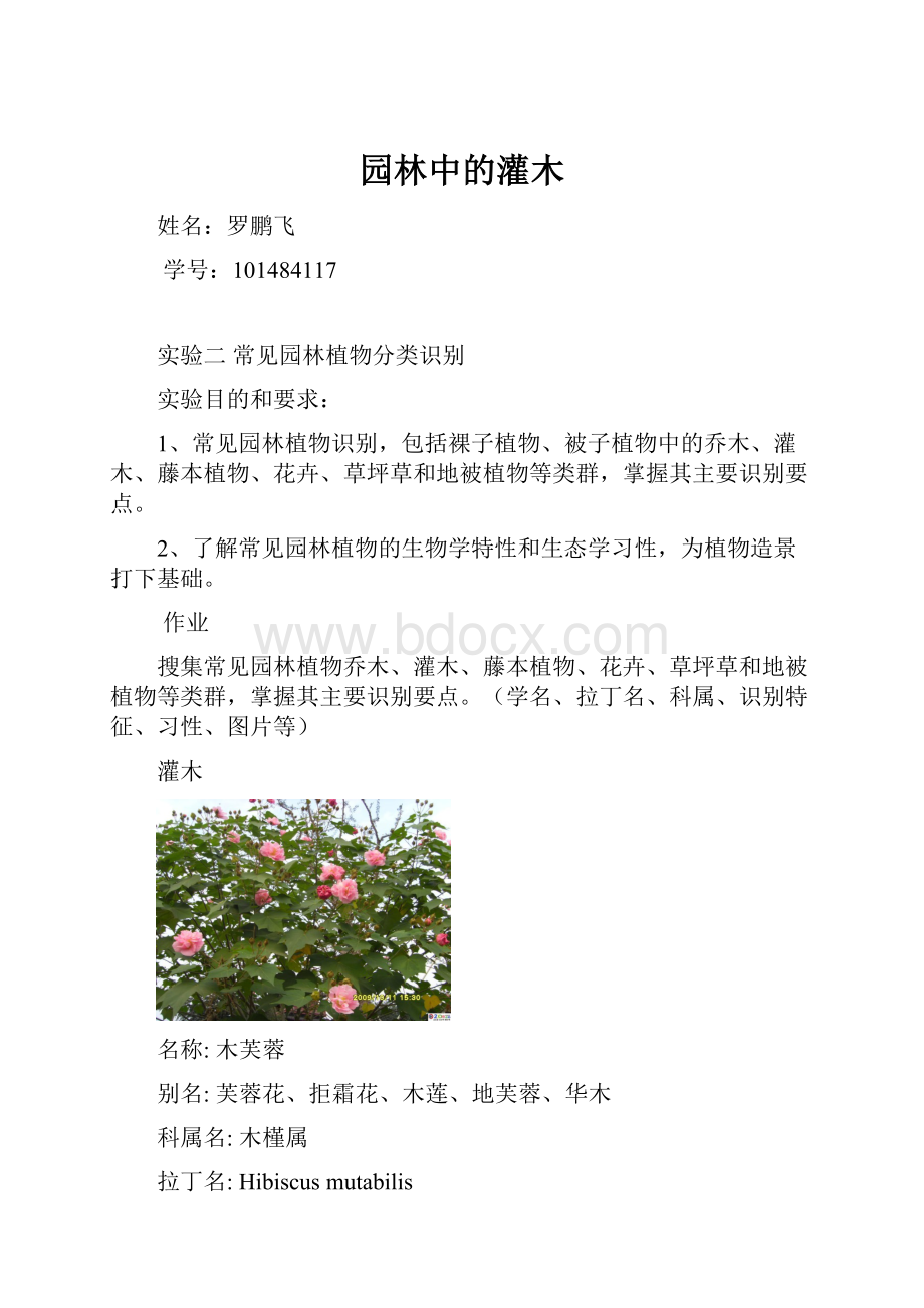 园林中的灌木.docx_第1页