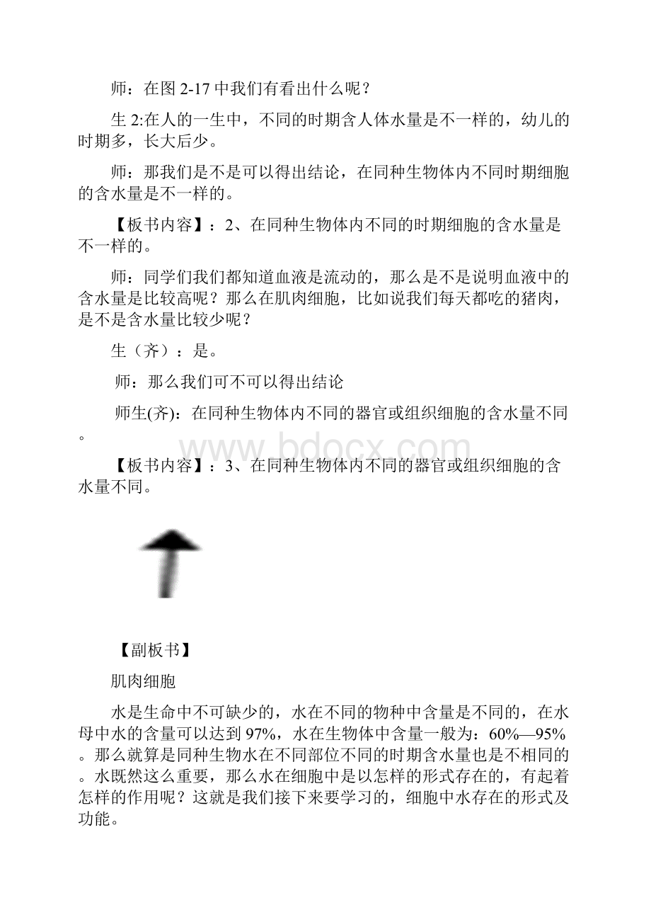 人教版高一生物必修一细胞中的无机物教案 公开课.docx_第3页